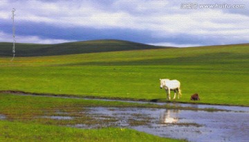 草原風(fēng)光