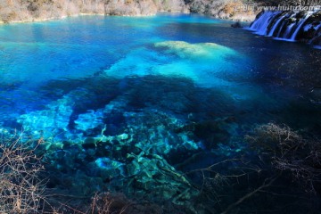 树正群海