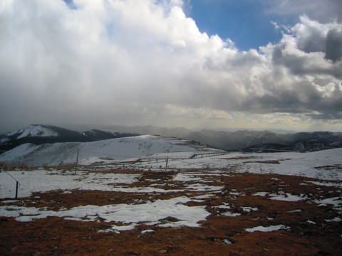 丽江（哈巴雪山）图片