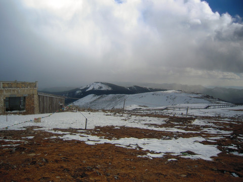 丽江（哈巴雪山）图片