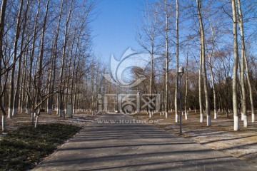 北京奥林匹克森林公园冬天