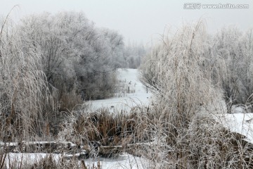 冬雪美景