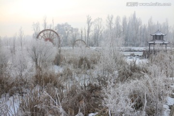 公园雪景