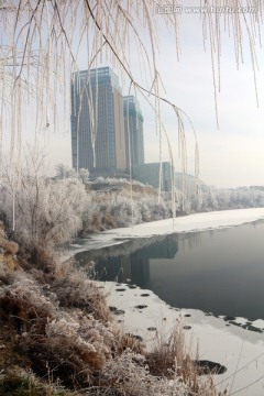 现代都市 河边雪影