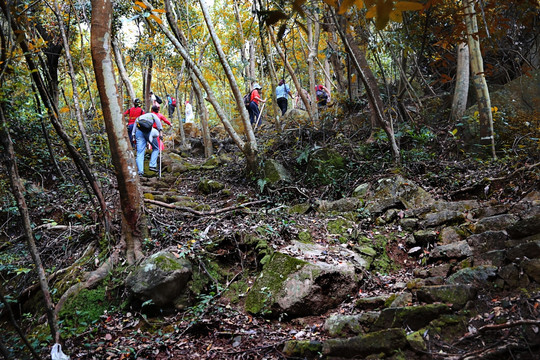 登山 户外运动