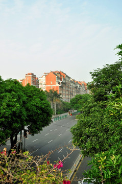 泉州街道风景