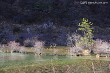 盆景滩