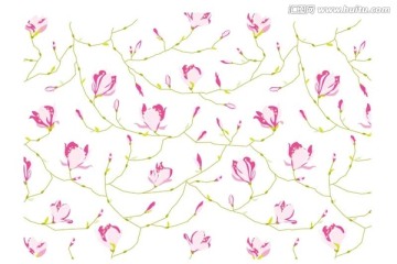 布紋小花
