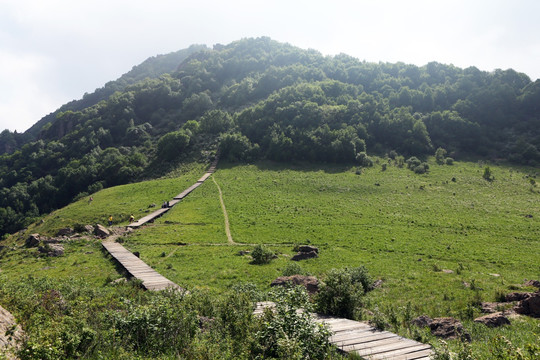 北京百花山风景区