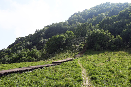 北京百花山风景区