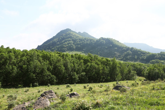 北京百花山风景区