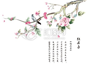手繪牡丹