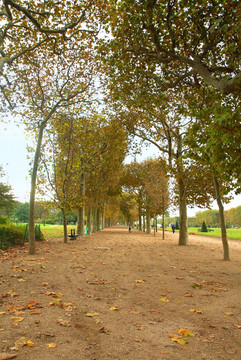巴黎城市公园秋色
