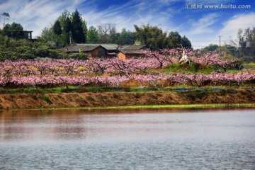 桃花园