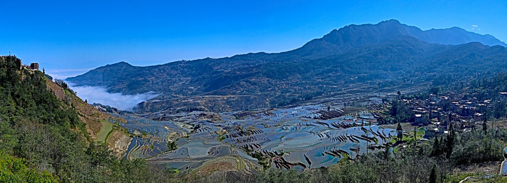 梯田全景