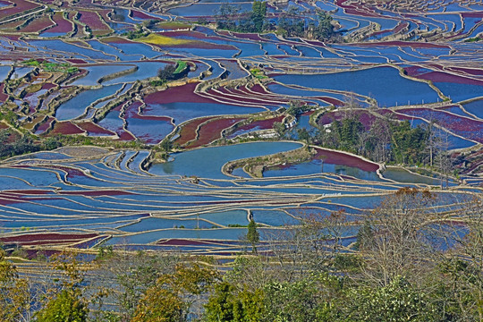 梯田