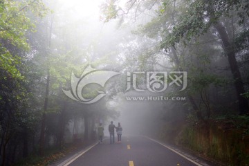 岳麓山晨雾树林道路