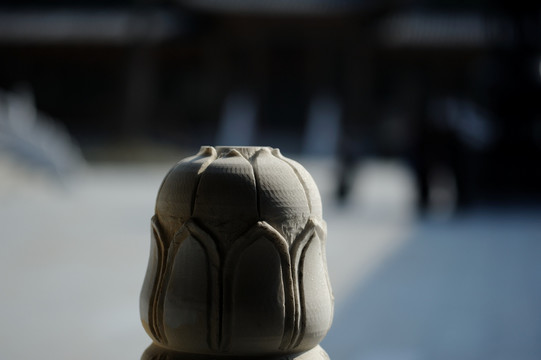 寺院内的莲花石栏杆头特写