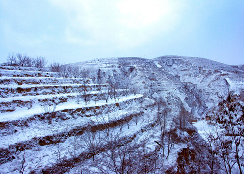 梯田雪地