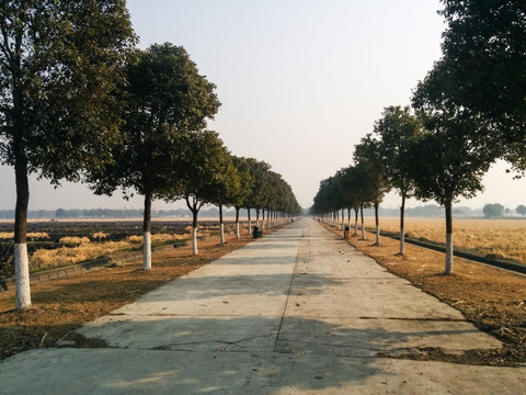 种植基地道路