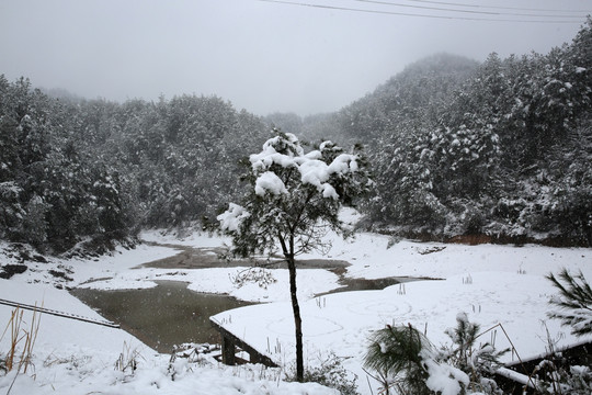 雪景