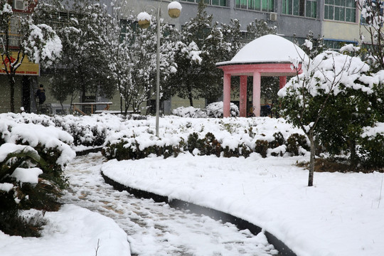 公园雪景