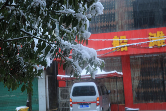 雪景