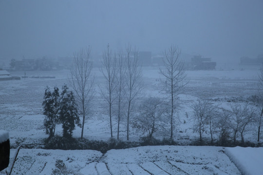 雪景