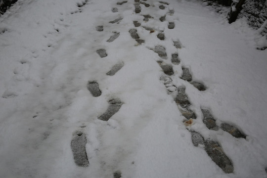 雪地脚印