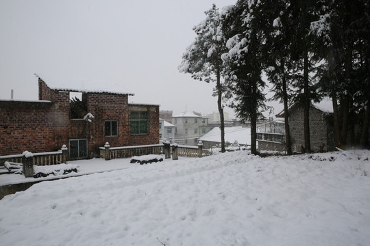 雪景