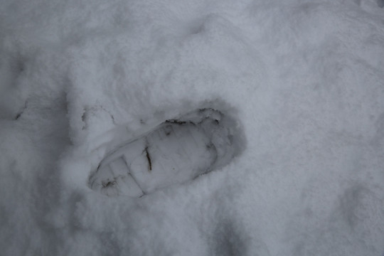 雪地脚印