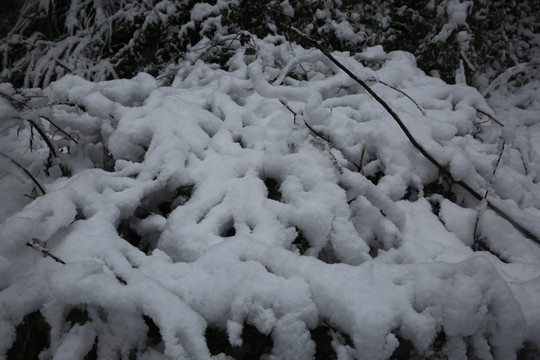 雪景