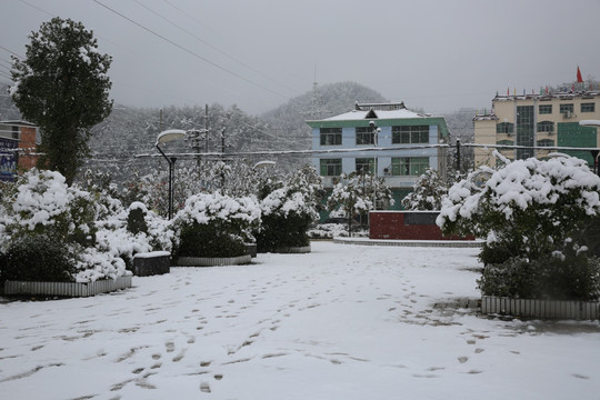 雪景