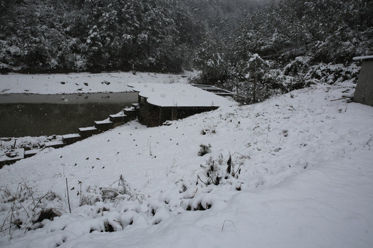 雪景