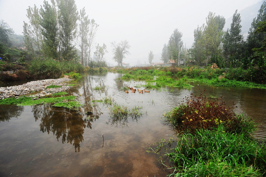 村头小河