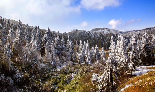 仙女山冬雪景观