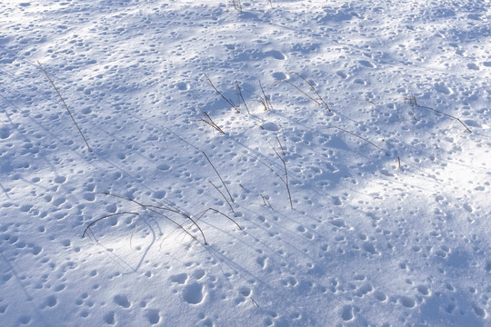 白雪