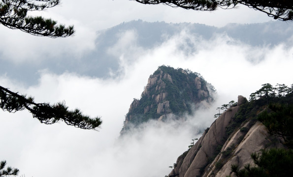 云海 松树  山峰