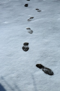 雪地脚印