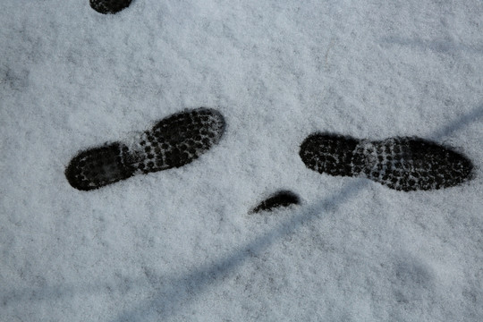雪地脚印