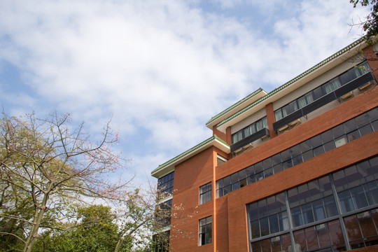 中山大学风景