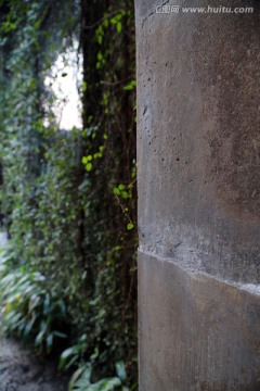 留園綠植