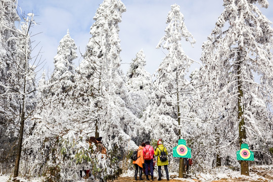 仙女山冬雪景观