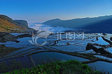 日出梯田