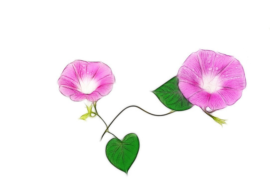 花的創(chuàng)意素材