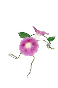 花的設計素材