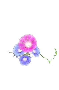 白色背景的設(shè)計素材