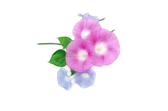 喇叭花設(shè)計(jì)素材