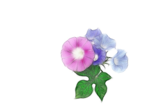 喇叭花設(shè)計(jì)素材