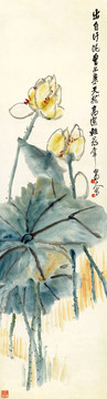 王震 荷花圖 未分層
